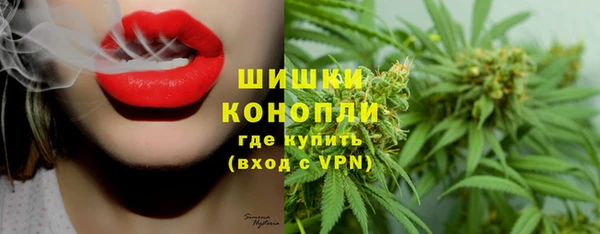 бутират Горняк
