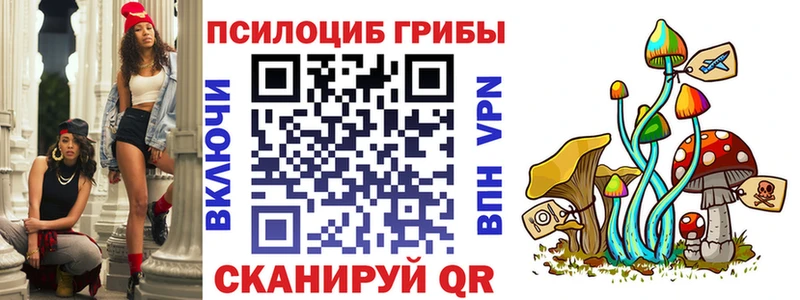 Псилоцибиновые грибы Magic Shrooms Чернушка
