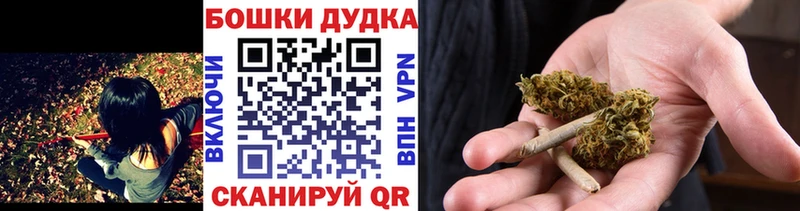 Бошки Шишки сатива  мориарти наркотические препараты  Чернушка 
